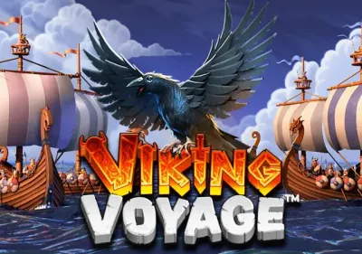 Viking Voyage